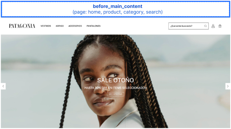 Before Main Content Slot