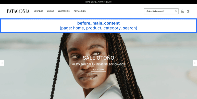 Before Main Content Slot